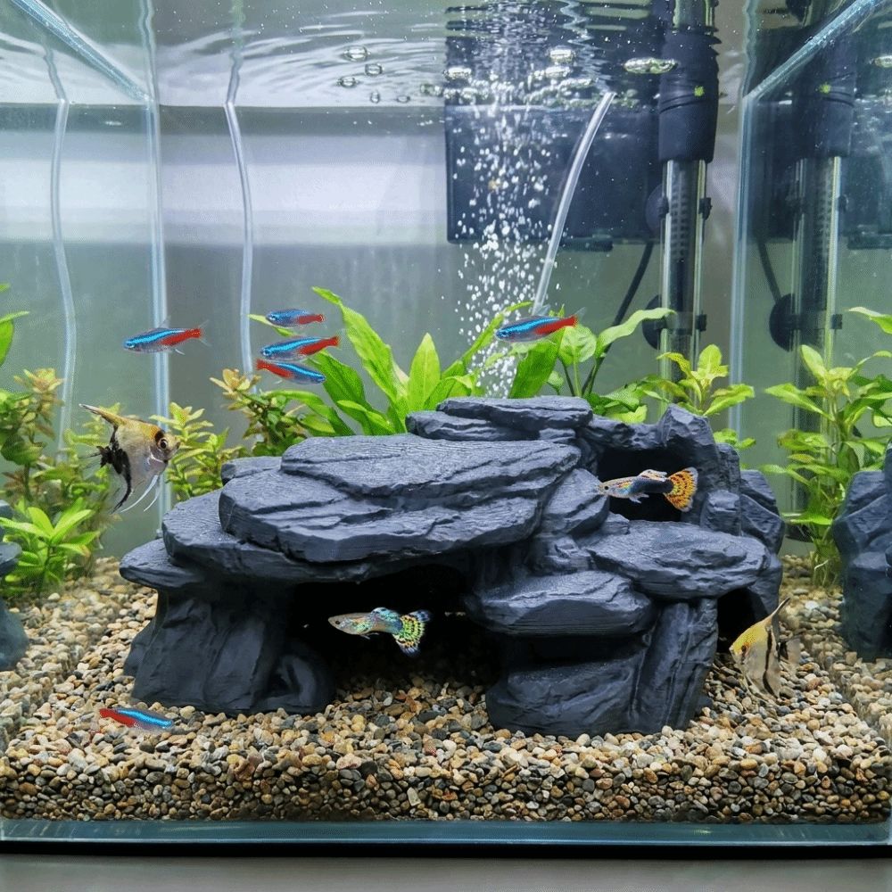 3D Printing Fish Tank Rockery  - Aquarium Plants Live review and price