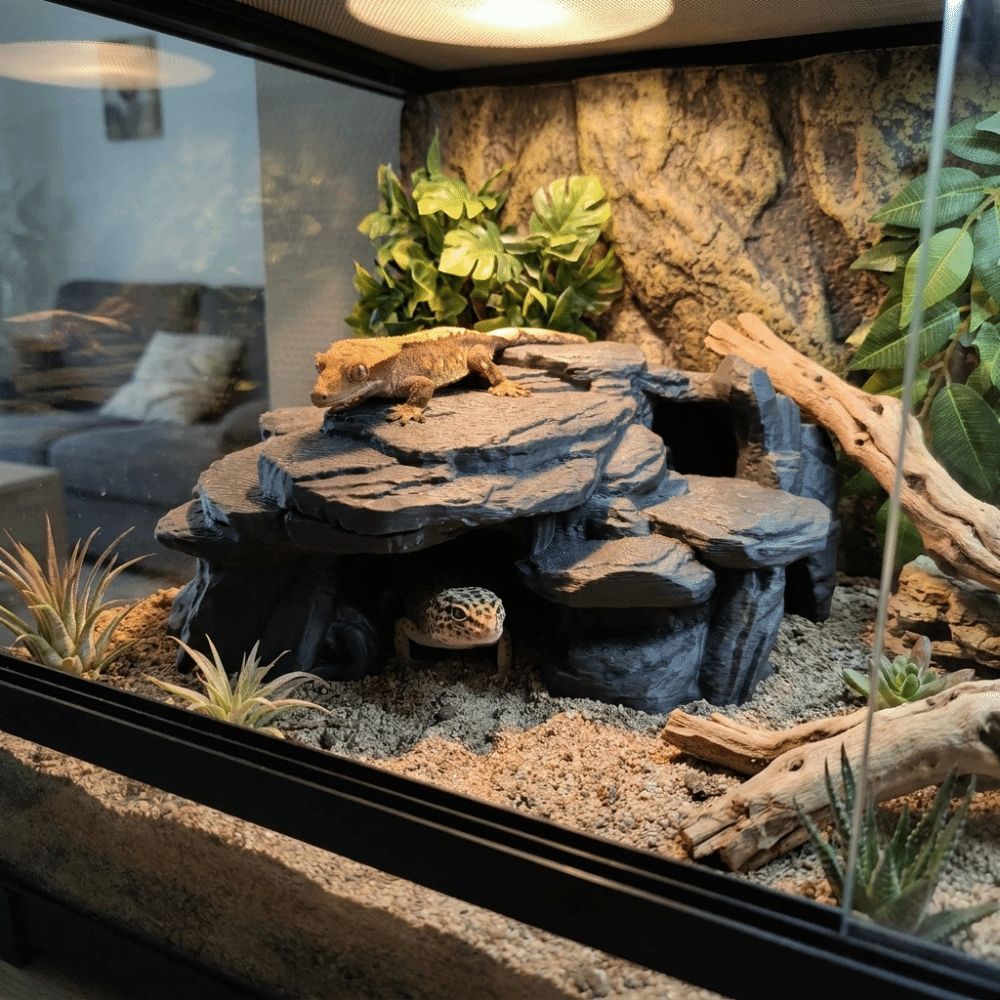 3D Printing Fish Tank Rockery  - Aquarium Plants Live review and price