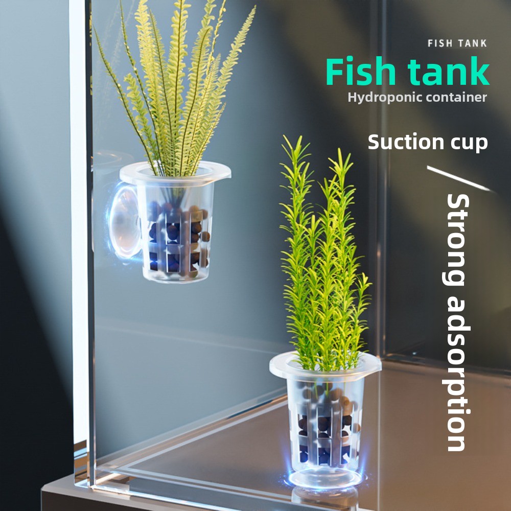10Pcs Transparent Plant Hydrop - Aquarium Plants Live review and price