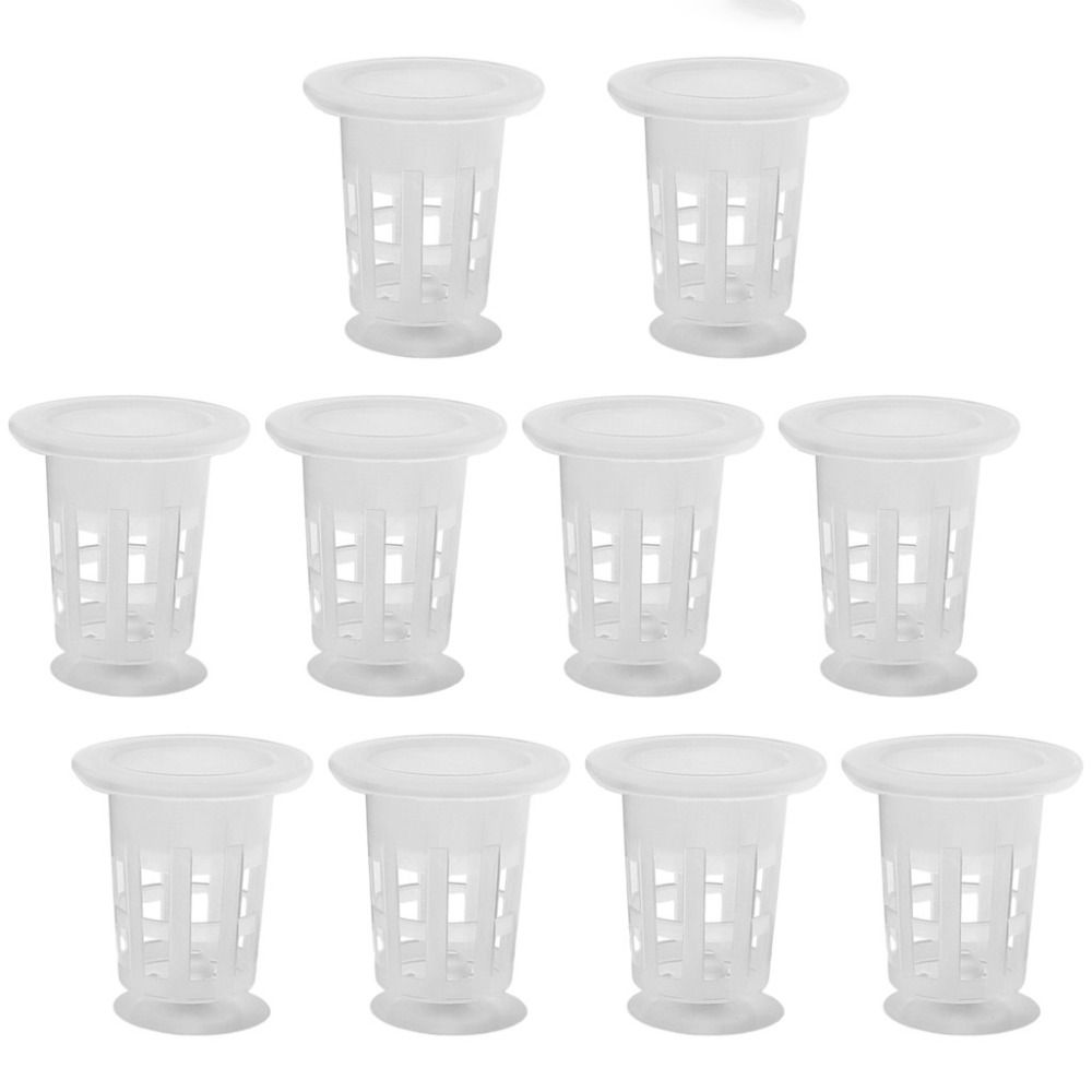 10Pcs Transparent Plant Hydrop - Aquarium Plants Live review and price
