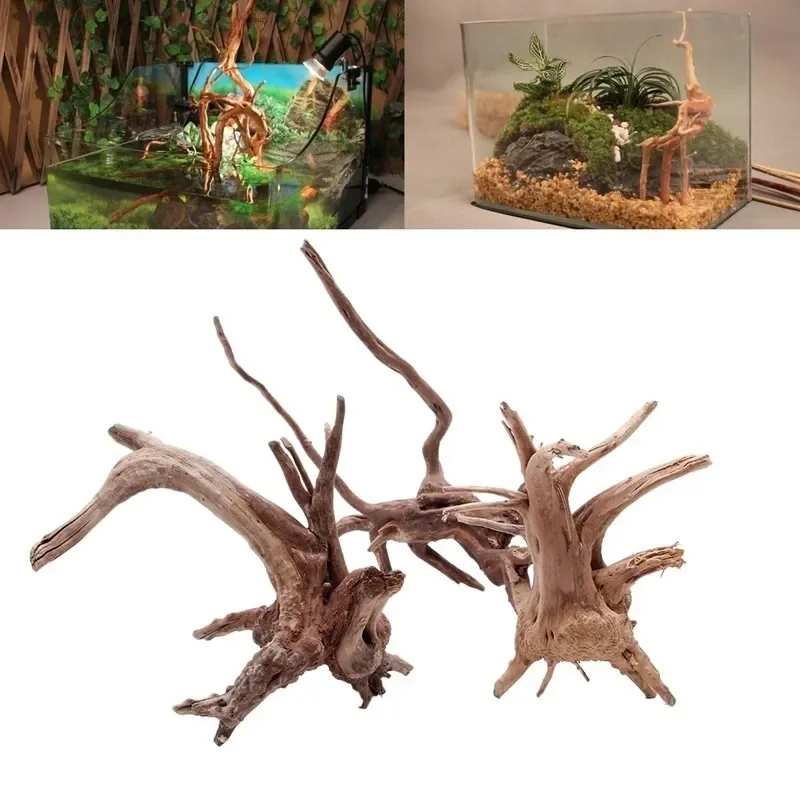 Natural Tree Trunk Driftwood A - Aquarium Plants Live review and price