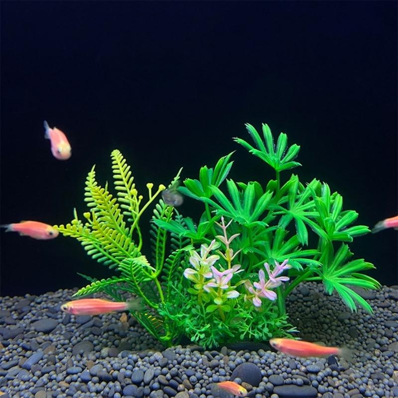 Artificial Aquarium Decoration - Live Plant Aquarium review and price