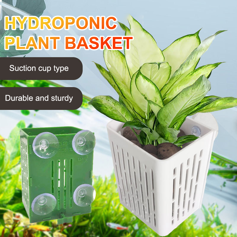 Hanging Suction Cup Hook Aquar - Aquarium Plant Holder review and price