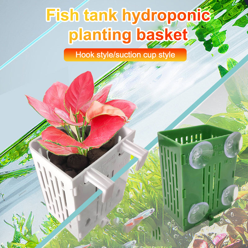 Hanging Suction Cup Hook Aquar - Aquarium Plant Holder review and price