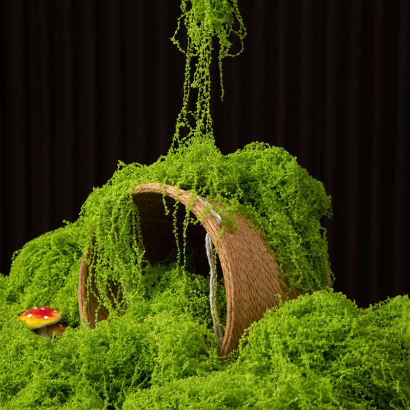 200g Eternal Life Moss DIY Cra - Aquarium Moss review and price