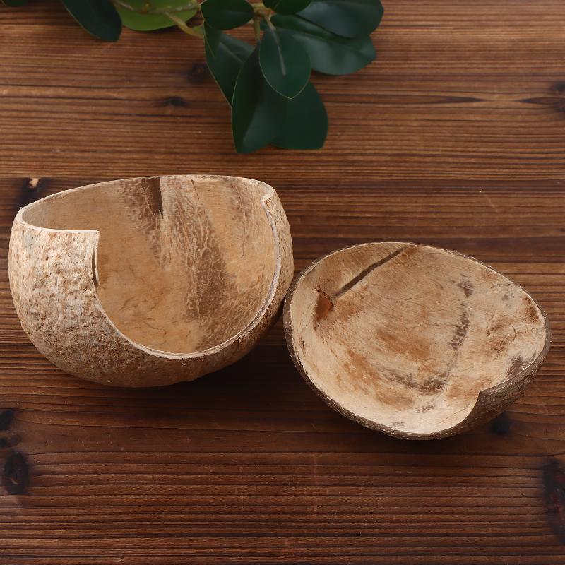 Coconut Hut Decor for Aquarium - Aquarium Driftwood review and price