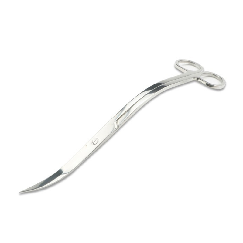 Aquarium Scissors Tweezers Too - Aquarium Plant Holder review and price