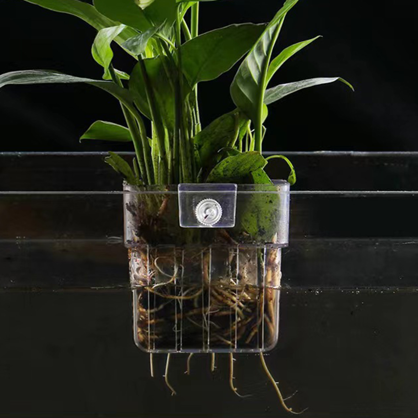 Clear Acrylic Plant Holder Hyd - Aquarium Plant Holder review and price