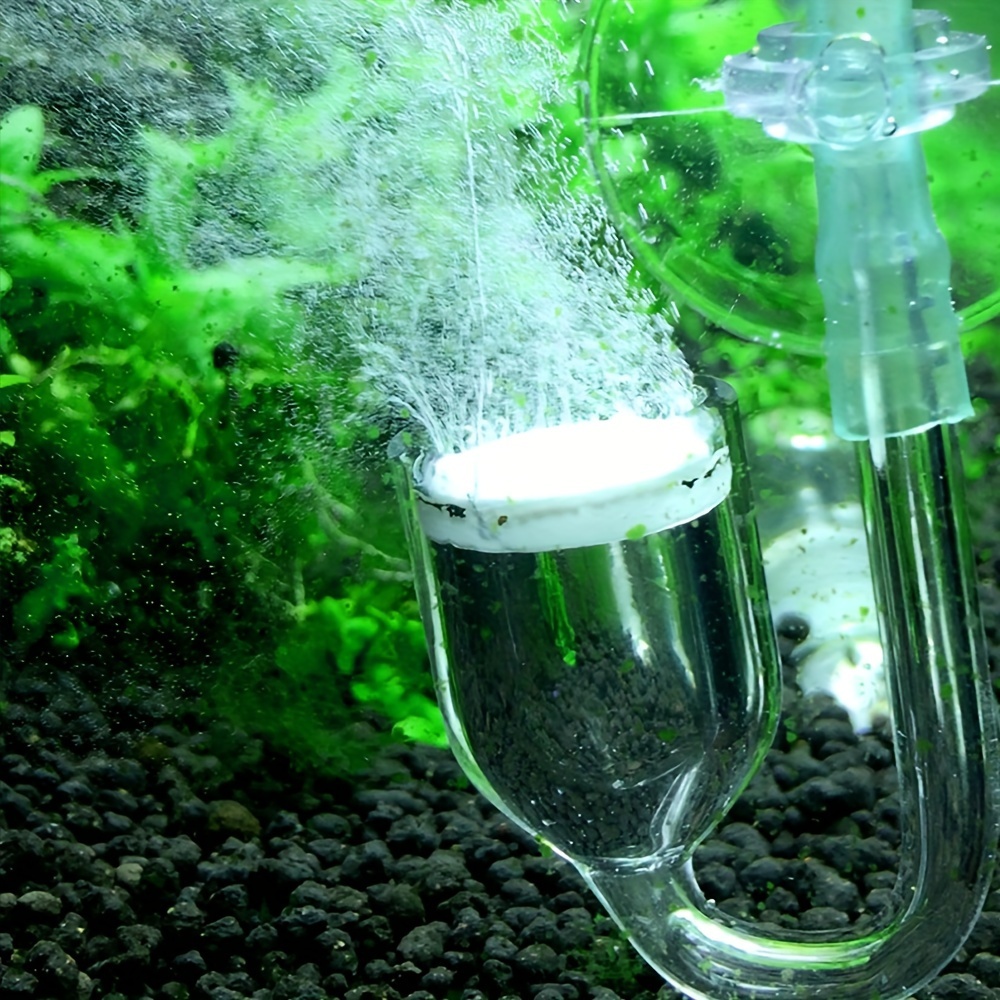Aquarium Glass CO2 Atomizer Di - Aquarium Liquid Carbon review and price