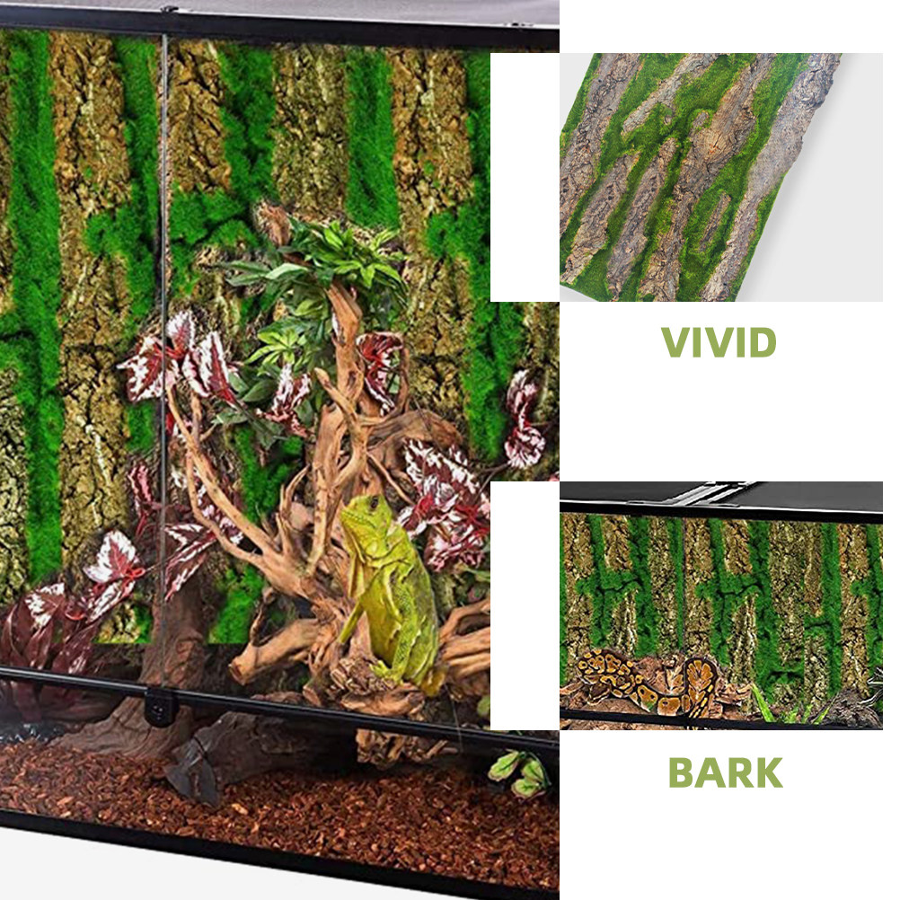 3D Aquarium Background Board S - Aquarium Moss review and price