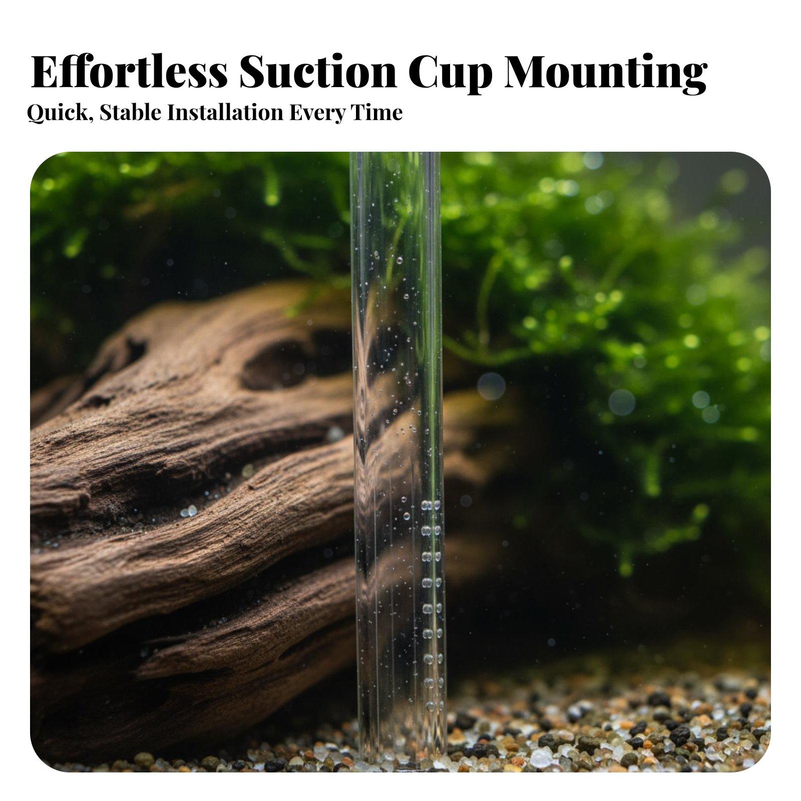 Planted Tank Aquarium Lily Out - Aquarium Planted Tank Filter review and price