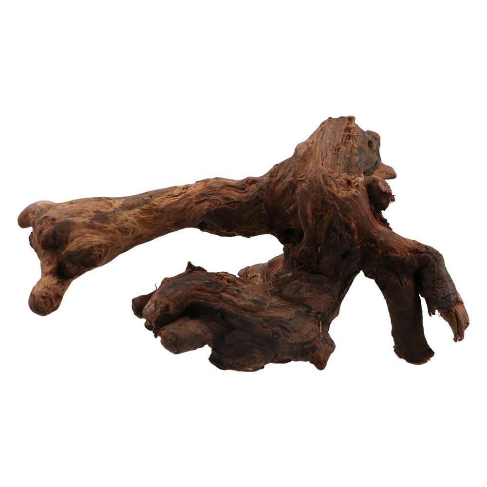 Creative Irregular Shape Coral - Aquarium Plants Live review and price