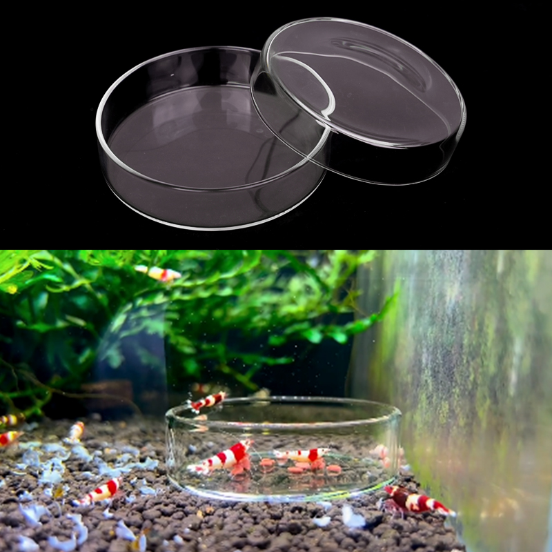 Shrimp Feeding Dish High Trans - Aquarium Fertilizer review and price