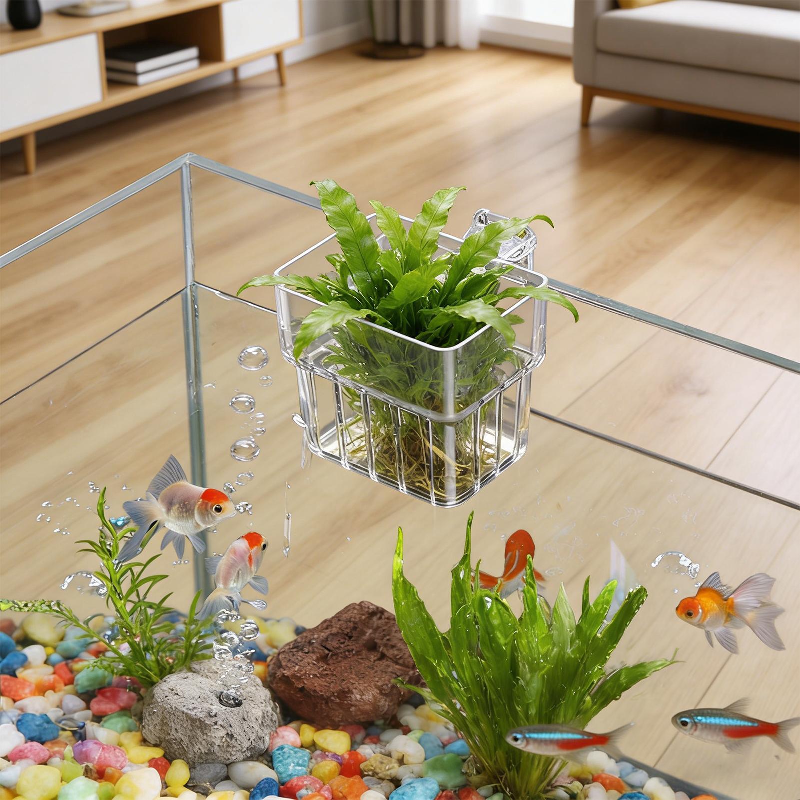 Aquarium Transparent Hanger Po - Aquarium Plants Live review and price