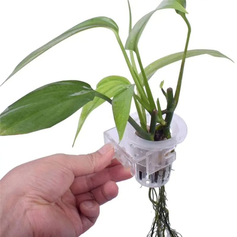 A7THK-2Pcs Transparent Hanging - Aquarium Plant Holder review and price