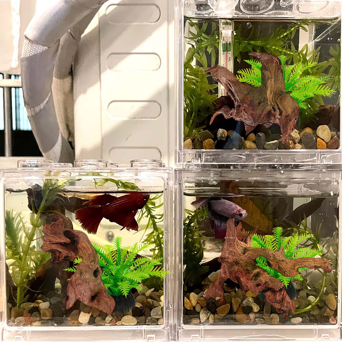 5-10CM Natural Sinkable Driftw - Aquarium Driftwood review and price