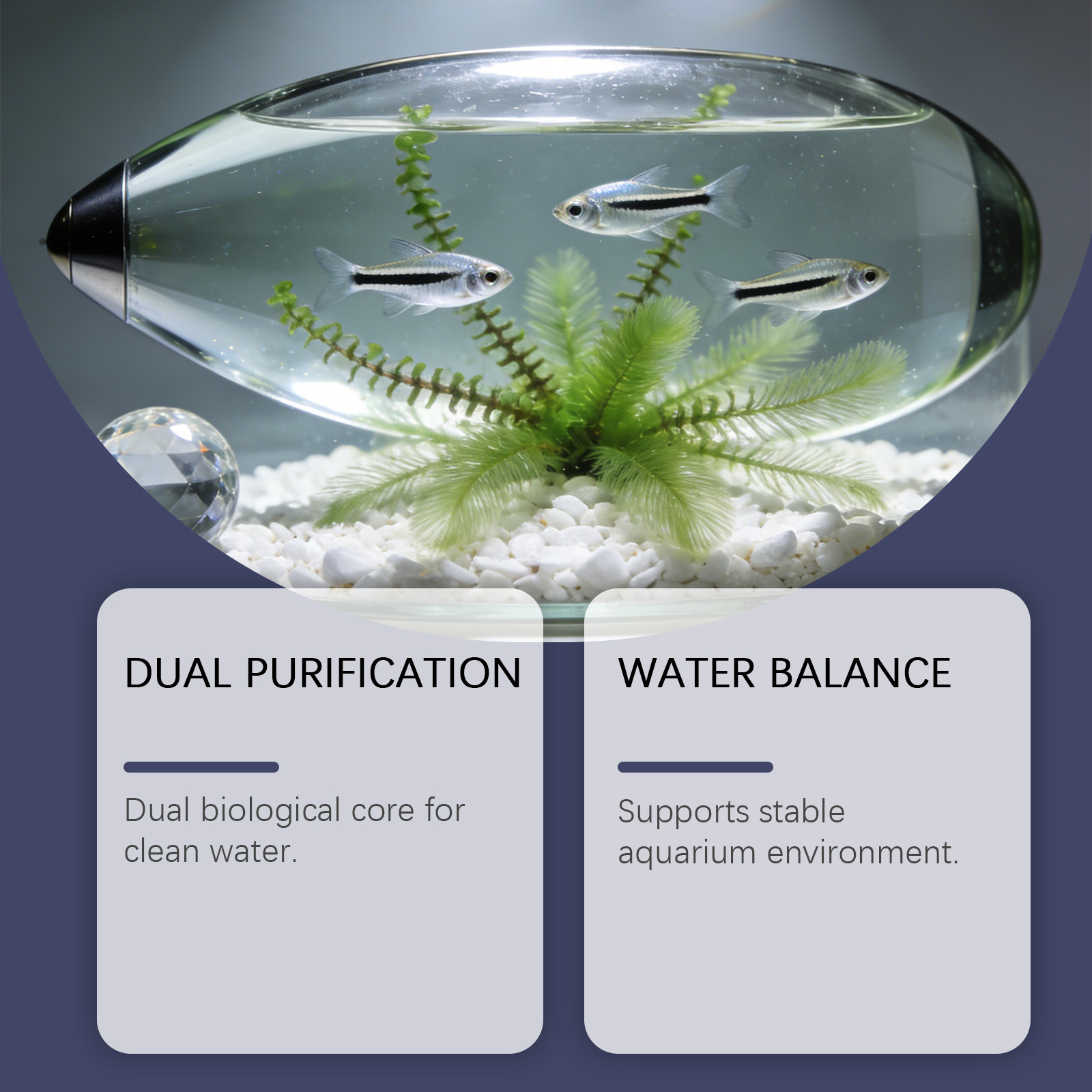 Algae Remover Tablets for Aqua - Planted Aquarium Algae Control review and price