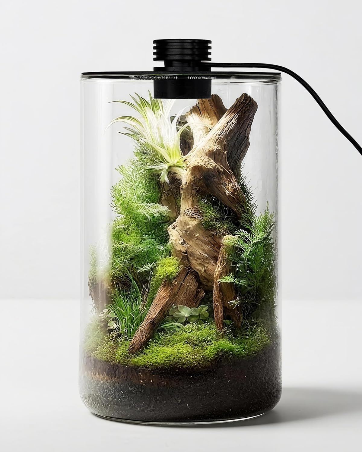 Indoor Glass Terrarium with Gr - Planted Tank review and price