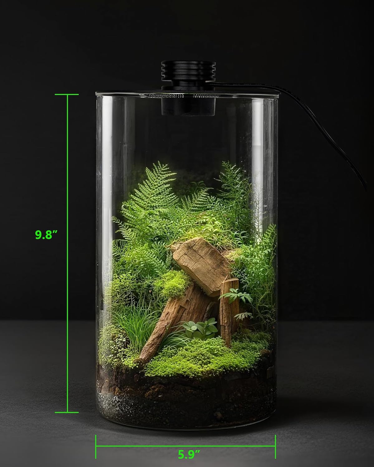 Indoor Glass Terrarium with Gr - Planted Tank review and price