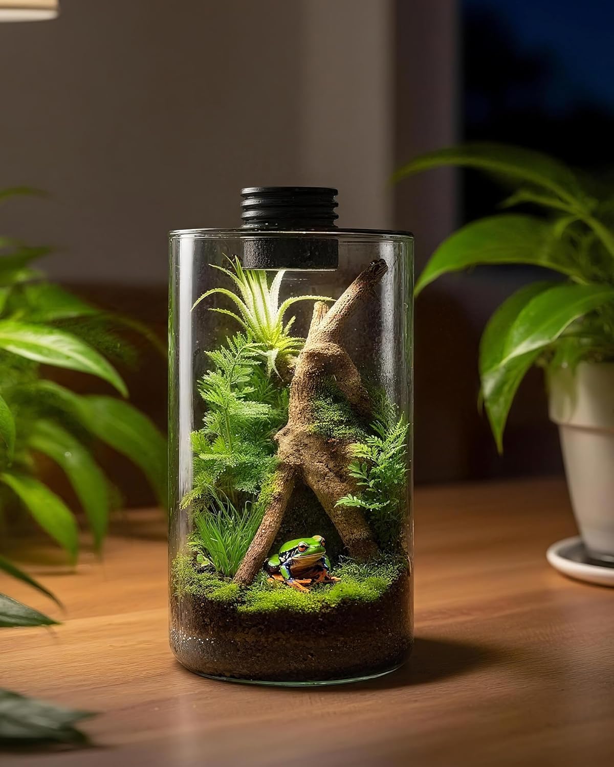 Indoor Glass Terrarium with Gr - Planted Tank review and price