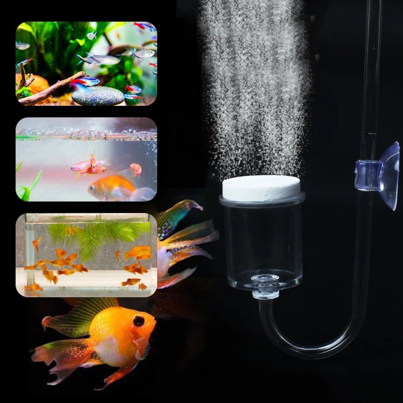 4pcs Set DIY CO2 Diffuser For  - Aquarium Moss review and price