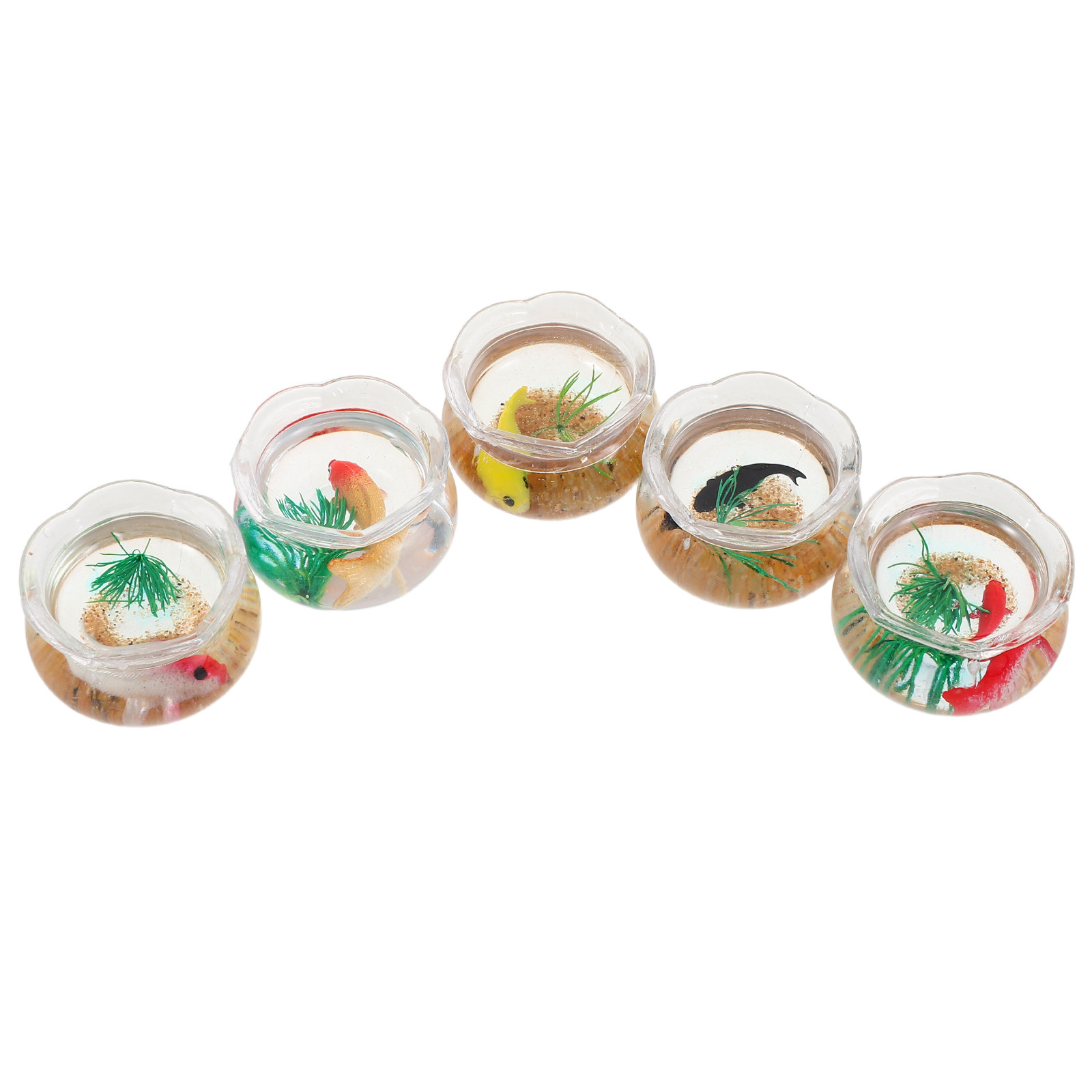 5Pcs Mini Fish Bowl Realistic  - Planted Tank review and price